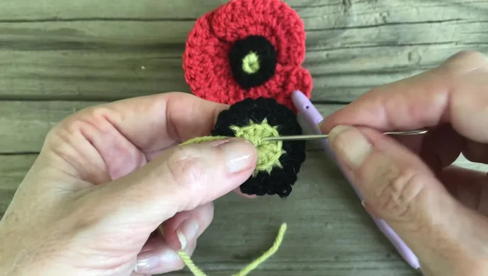 Repeat step 6, but increase by working 2 double crochets into each stitch. (This will create 18 double crochets total in this round.)