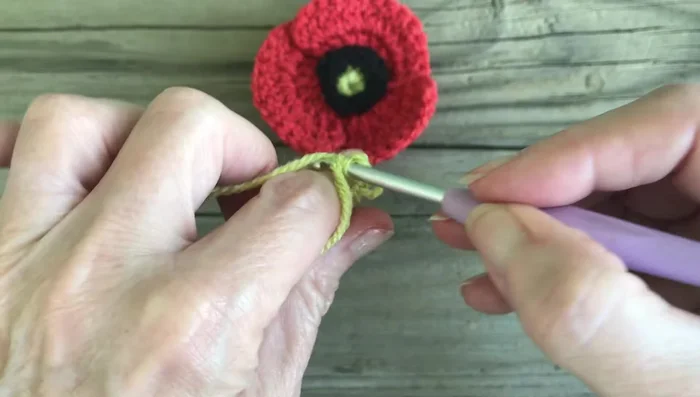 Chain 1. Work a single crochet into the front loop of each stitch, chain 1 between each single crochet. Repeat around. Slip stitch into the first chain space.