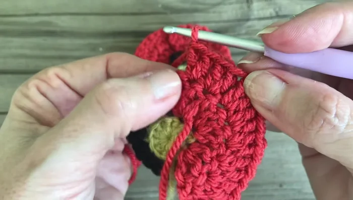 Weave in ends except for the initial magic ring tail.