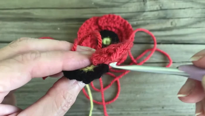 Repeat steps 5-8 to create the remaining two petals.