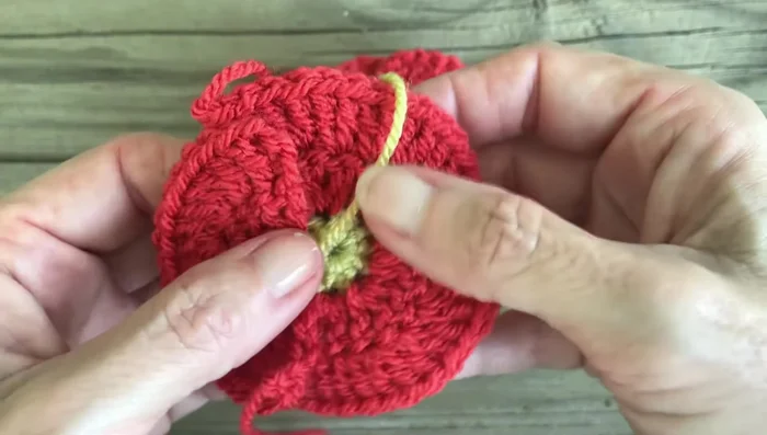 Weave in ends except for the initial magic ring tail.