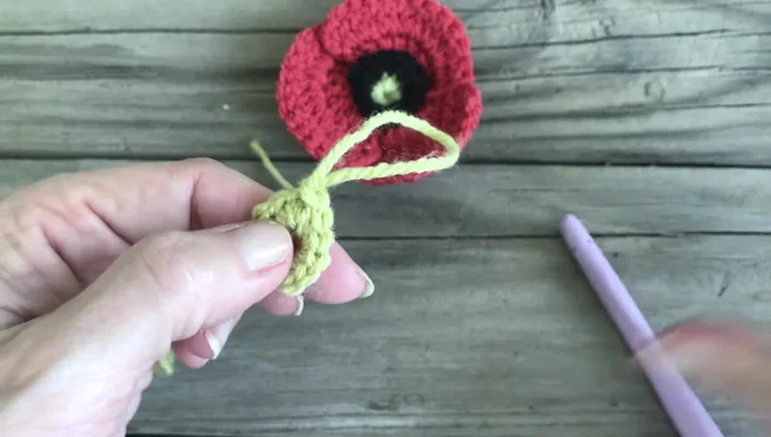 Chain 1. Work a single crochet into the front loop of each stitch, chain 1 between each single crochet. Repeat around. Slip stitch into the first chain space.