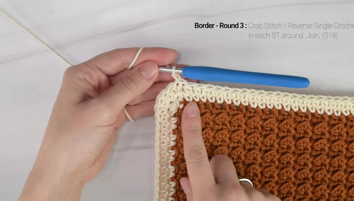 Border (Round 3): Crab stitch (reverse single crochet) around. Work 1 crab stitch in each stitch, working to the right.