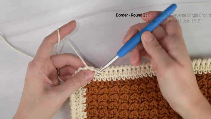 Finishing: Join with a slip stitch, fasten off, and weave in ends.