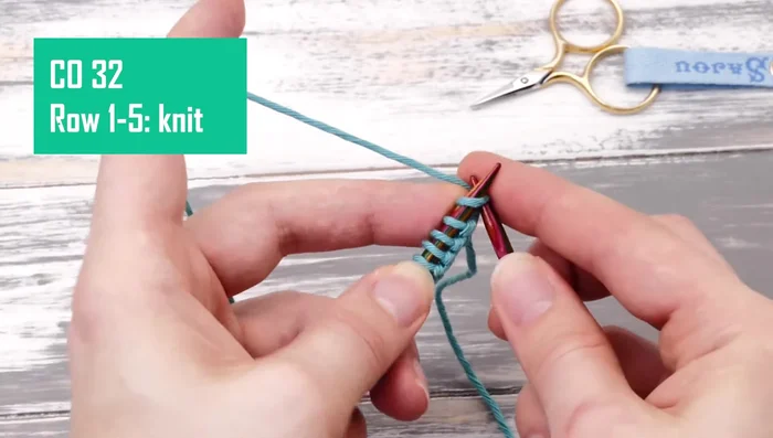 Knit five rows of garter stitch (all knit stitches).