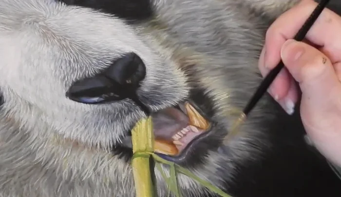 Blending black and white fur: Blend the black fur of the body into the white fur of the face to create a seamless transition.