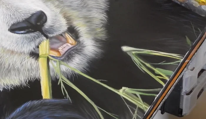 Varnish application: Apply a gloss varnish to enhance the subtle highlights and textures, especially in the black fur areas.