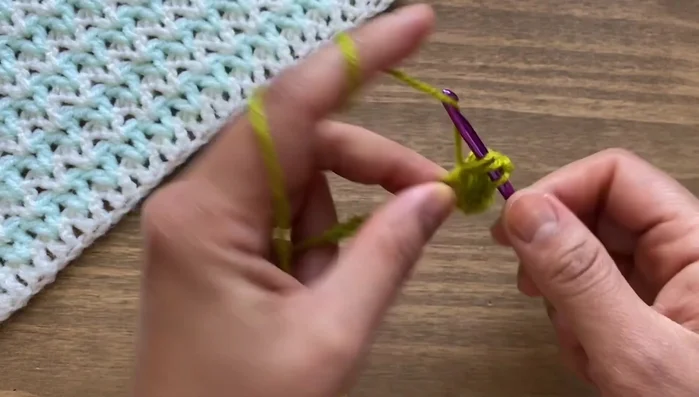 Repeat step 6 across the row. On the last chain, work only one double crochet.