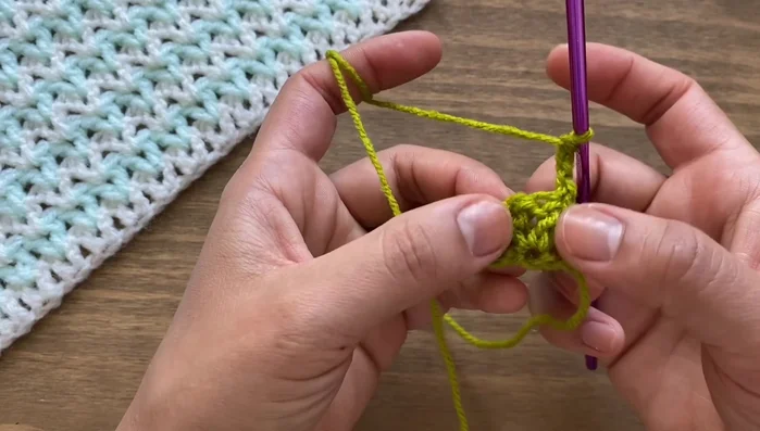 Repeat step 9 across the row, working two double crochets in each space between the previous row's double crochets. At the end work one double crochet on top of the chain 3 from the beginning.