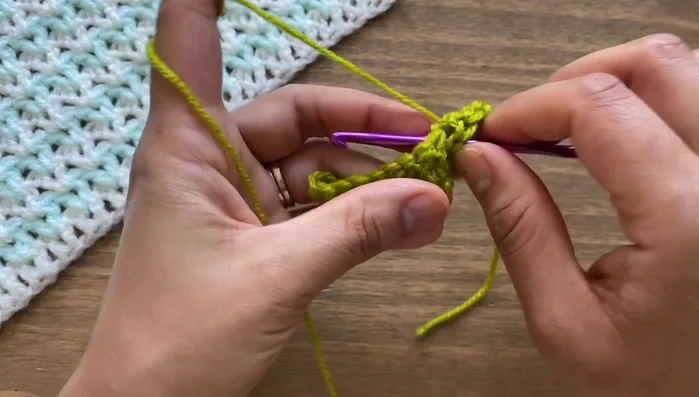 Repeat step 9 across the row, working two double crochets in each space between the previous row's double crochets. At the end work one double crochet on top of the chain 3 from the beginning.