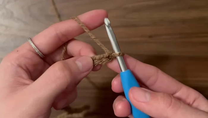 Slip stitch (sl st) in the remaining five chains.