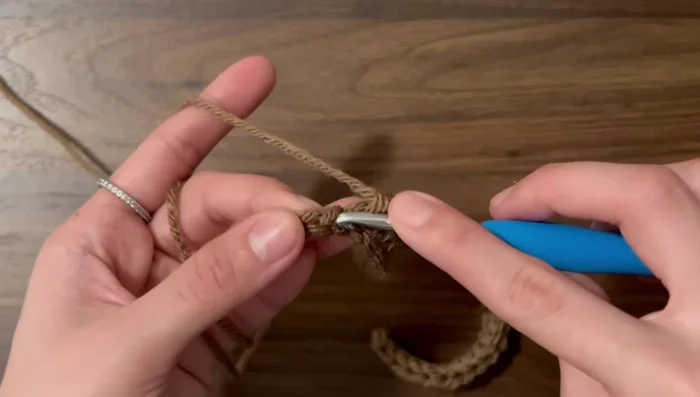 Slip stitch (sl st) in the remaining five chains.