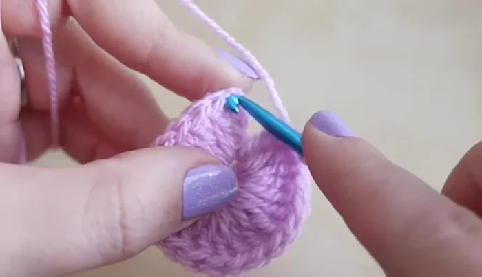 Join with a slip stitch to the top of the third chain from the beginning chain three.