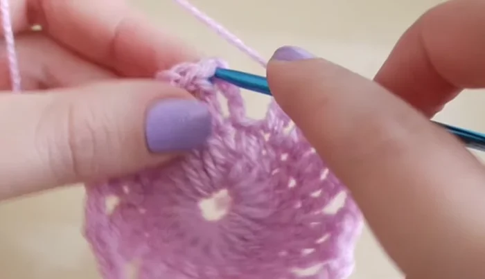 Join with a slip stitch to the top of the third chain from the beginning chain three.