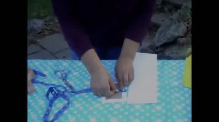 Prepare the back. Measure and cut a piece of poster board slightly smaller than the picture. Round the corners for a neat finish.