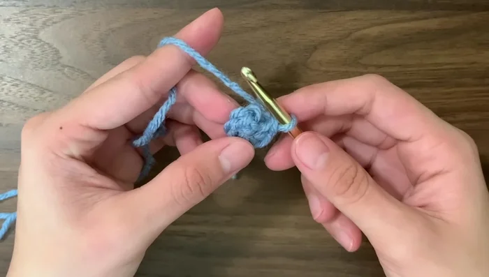 Round 2: Increase in every stitch (two single crochets in each stitch).