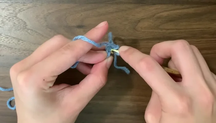 Round 2: Increase in every stitch (two single crochets in each stitch).