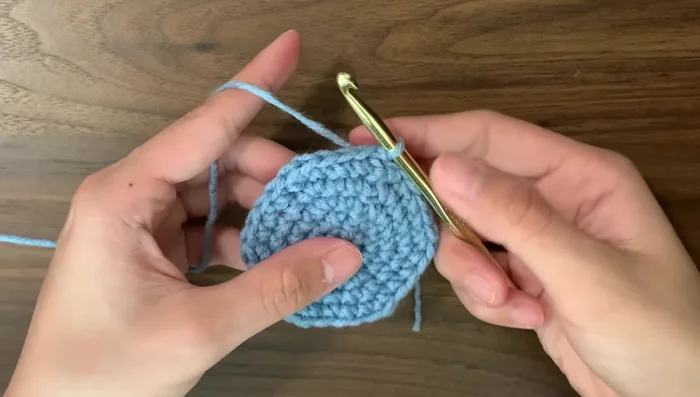 Round 6: Single crochet in every stitch (no increases). Continue with single crochet rounds until desired stripe length is reached. (The tutorial uses 3 rounds of blue, 2 rounds of white, 2 rounds of blue, and 2 rounds of white.)