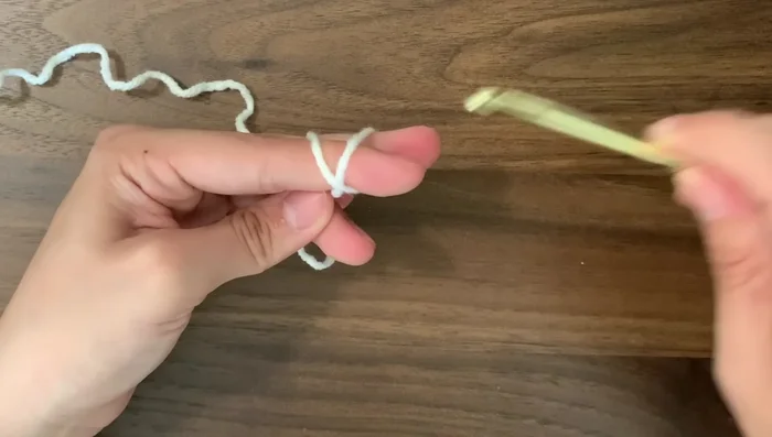 Attach wings using magic circle method (6 single crochets, round 2 increase in every stitch, round 3 no increases).