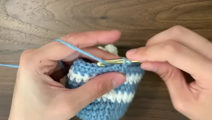 Fasten off, weave in ends, and close the final hole.