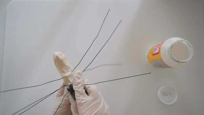 Glue a small oval black felt piece on top of the body where the wings will attach.