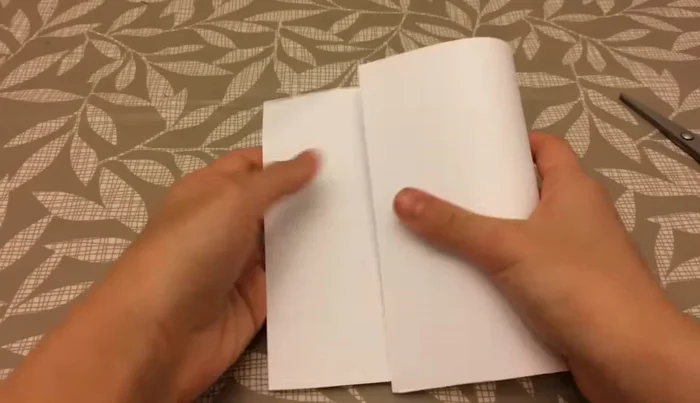 Take one half, fold it in half horizontally again, and crease.