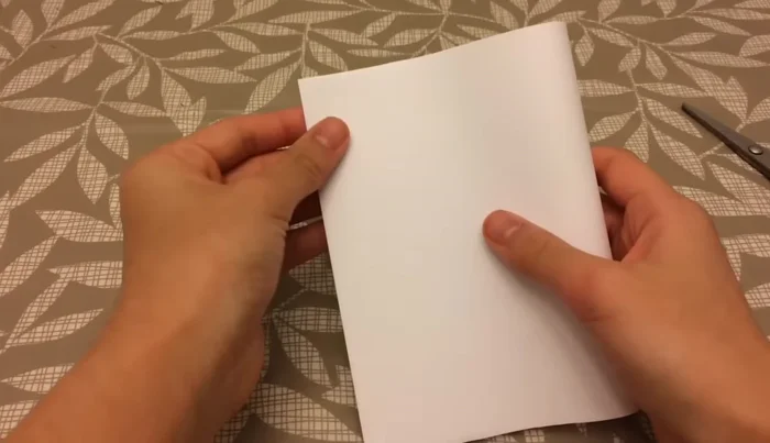 Take one half, fold it in half horizontally again, and crease.