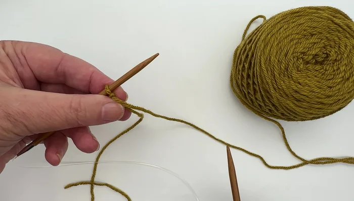 Slide the loop onto the left-hand needle.