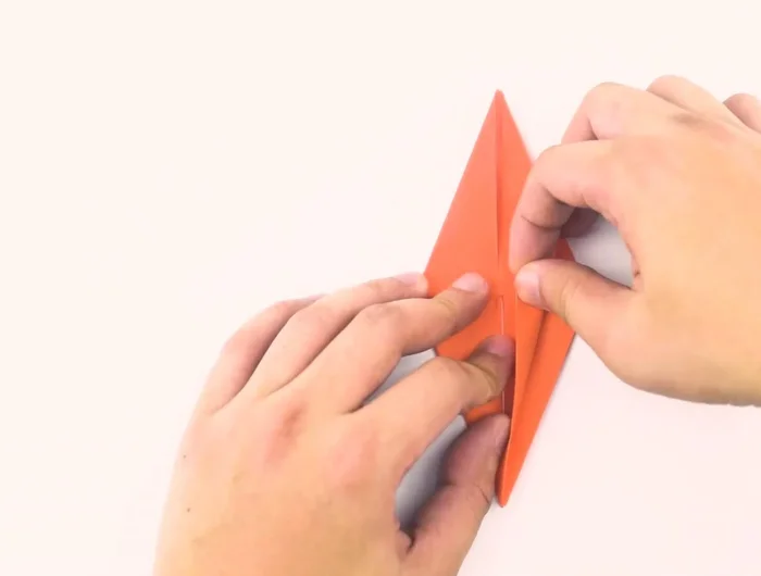 Fold the entire right flap over the central line like turning a book page. Repeat on the other side.