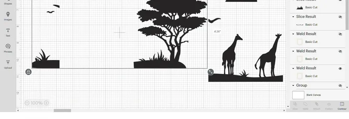 Use the contour tool to remove the bird and top-left corner. You should have three images (tree, grass, giraffes).
