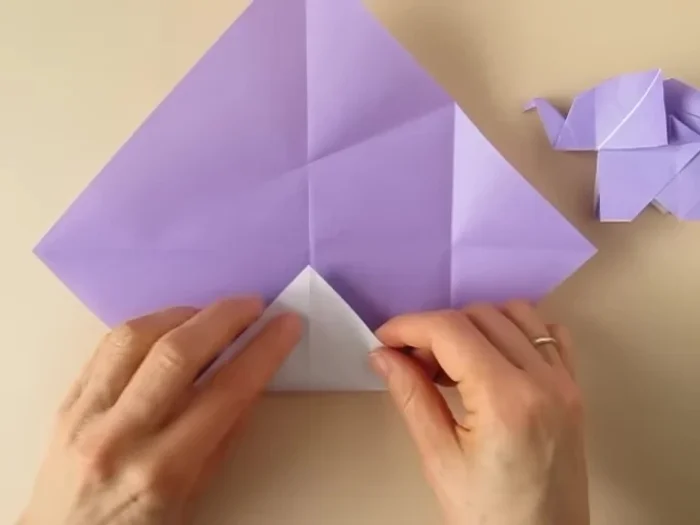 Repeat the fold on the other side.