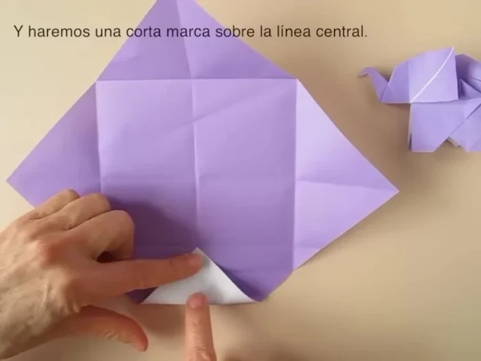 Repeat the fold on the other side.