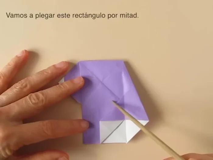 Repeat on the other side. Fold to align edges and collapse.