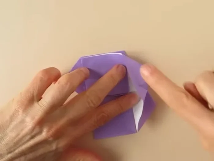 Repeat on the other side. Fold to align edges and collapse.