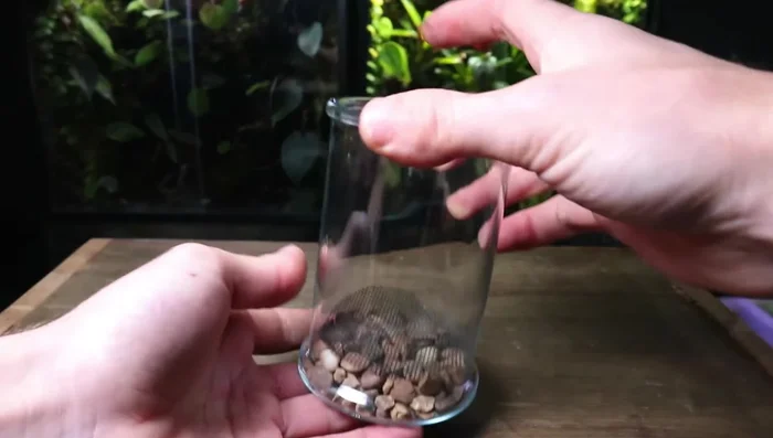 Slope the substrate towards the back of the terrarium to create depth.