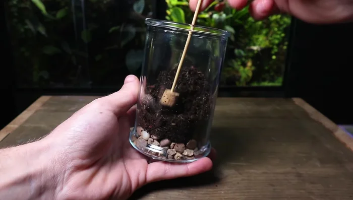 Slope the substrate towards the back of the terrarium to create depth.