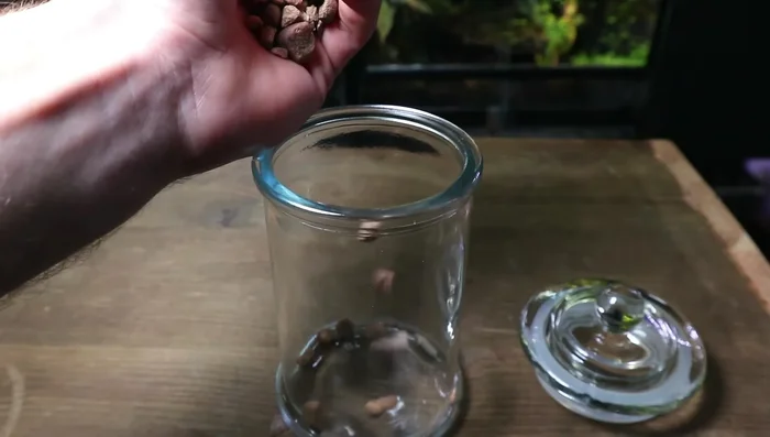 Optional: Use a mesh separator to prevent the substrate from mixing with the drainage layer, especially if using larger gravel.