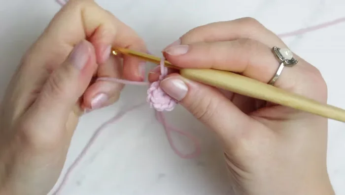 Close the magic ring with a slip stitch.