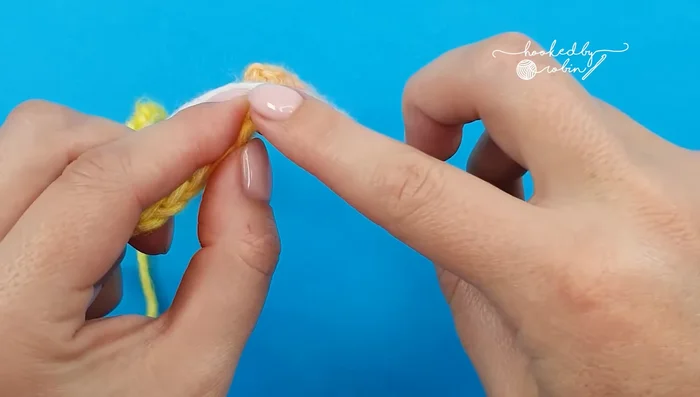 Work a final shell (four double crochets, chain 2, four double crochets) into the last chain.