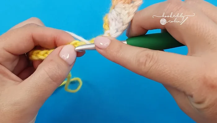 Work a final shell (four double crochets, chain 2, four double crochets) into the last chain.