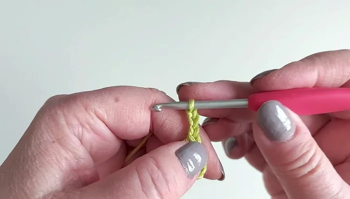 Make a pico: chain 3, insert hook into the first chain, yarn over and pull through.