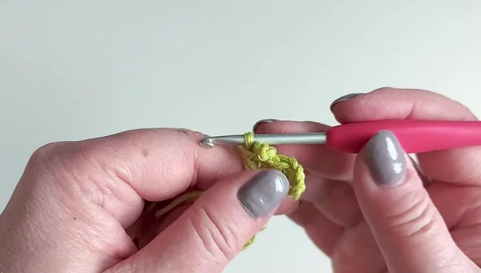 Work three double crochets into the chain loop.