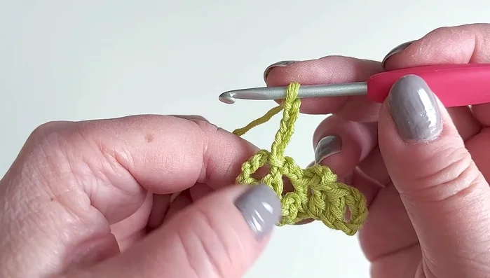 Work three double crochets into the chain loop.