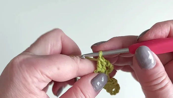 Work three double crochets into the chain loop.