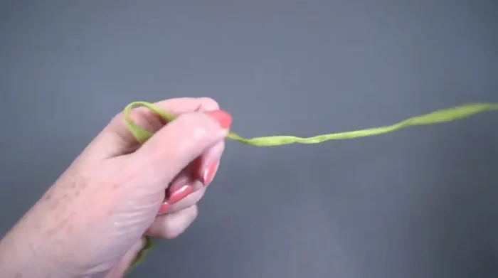 Repeat step 1 five more times to create six chains of equal length.