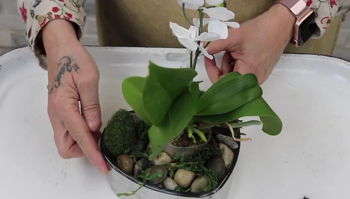 Create miniature plant arrangements in small jars. Use rocks for drainage, moss, and a small plant.