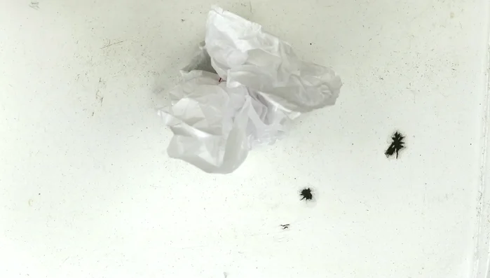 Add a bow and gift card. Put in a basket or bag.