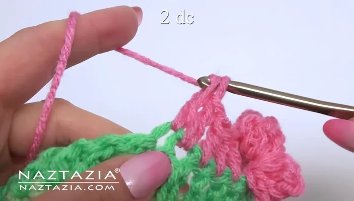 In the next stitch, make two double crochet stitches all in the same space.