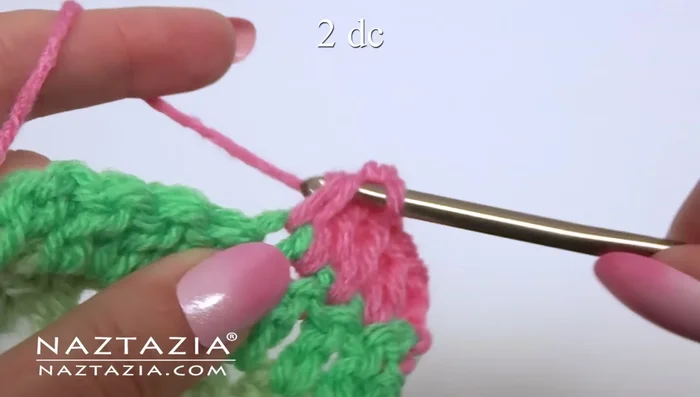 In the next stitch, make two double crochet stitches all in the same space (forming a ring).